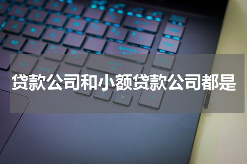 贷款公司和小额贷款公司都是