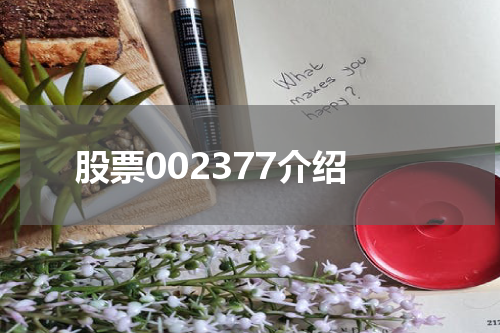 股票002377介绍