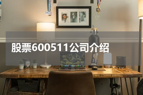 股票600511公司介绍