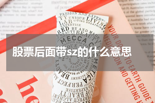 股票后面带sz的什么意思