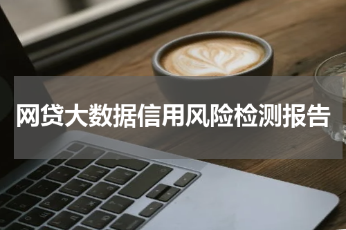 网贷大数据信用风险检测报告