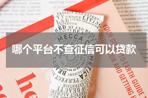 哪个平台不查征信可以贷款
