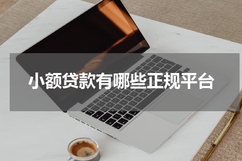 小额贷款有哪些正规平台