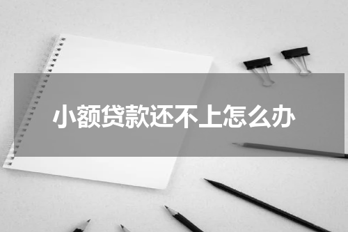 小额贷款还不上怎么办