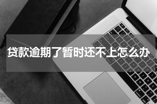 贷款逾期了暂时还不上怎么办
