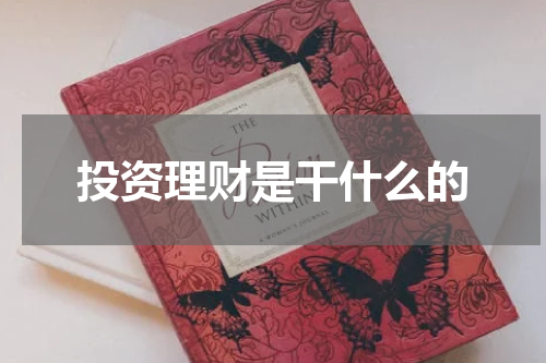 投资理财是干什么的