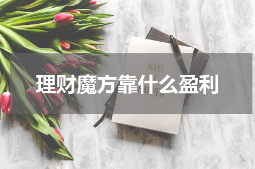 理财魔方靠什么盈利