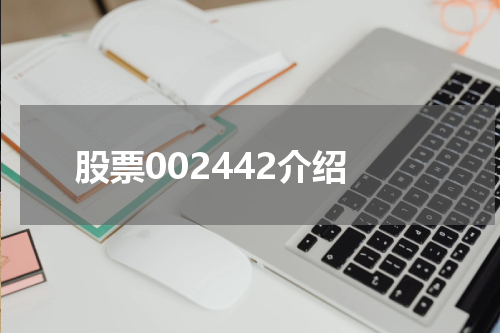股票002442介绍