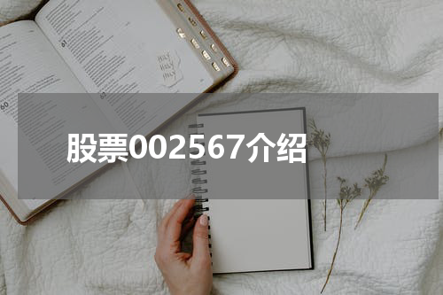 股票002567介绍