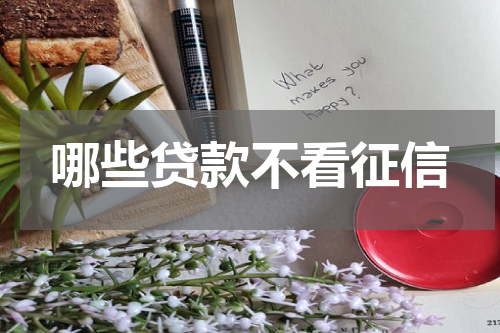 哪些贷款不看征信