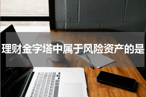 理财金字塔中属于风险资产的是