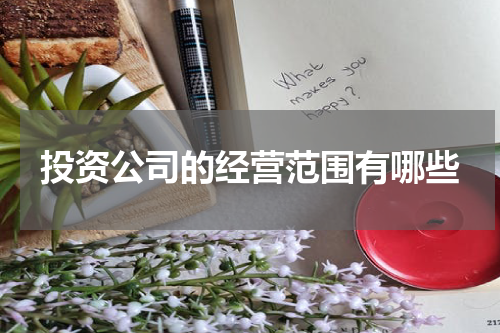 投资公司的经营范围有哪些