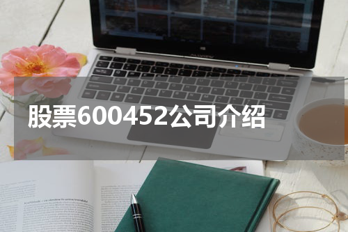 股票600452公司介绍