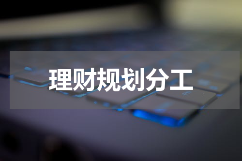 理财规划分工