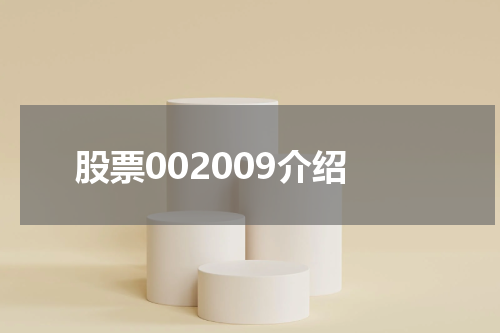 股票002009介绍