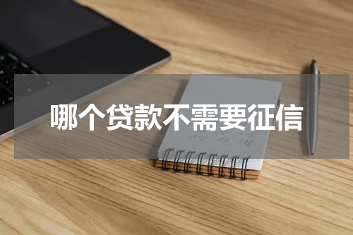 哪个贷款不需要征信