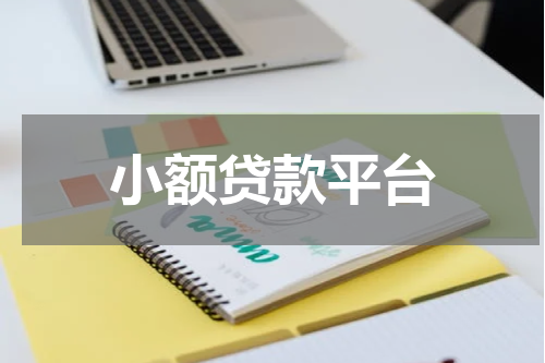 小额贷款平台