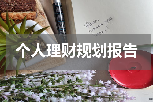 个人理财规划报告