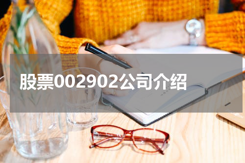 股票002902公司介绍