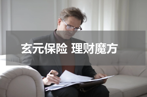 玄元保险 理财魔方