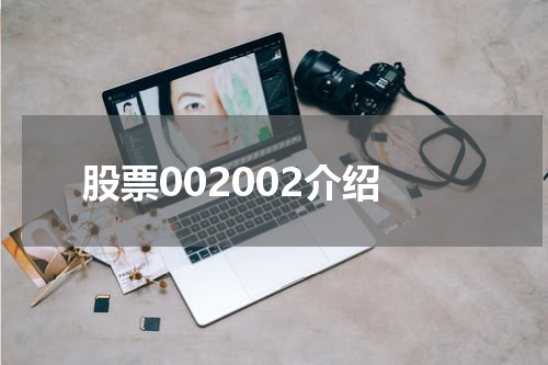 股票002002介绍