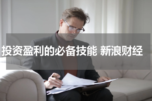 投资盈利的必备技能 新浪财经