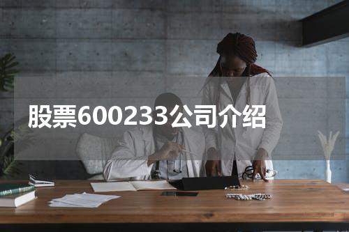 股票600233公司介绍