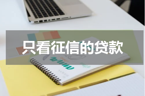 只看征信的贷款