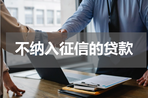 不纳入征信的贷款