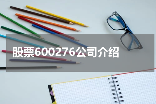 股票600276公司介绍