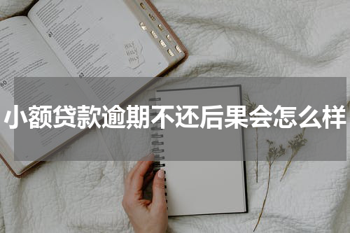 小额贷款逾期不还后果会怎么样