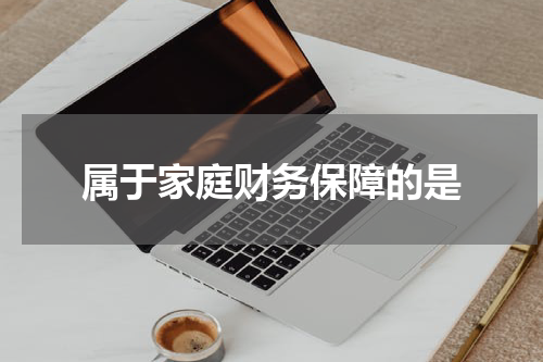 属于家庭财务保障的是