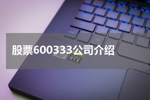 股票600333公司介绍