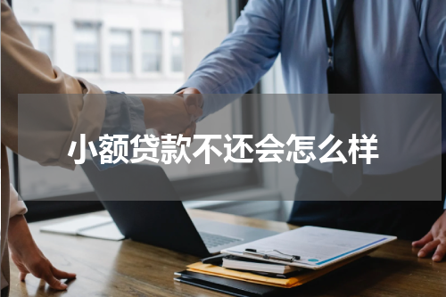 小额贷款不还会怎么样
