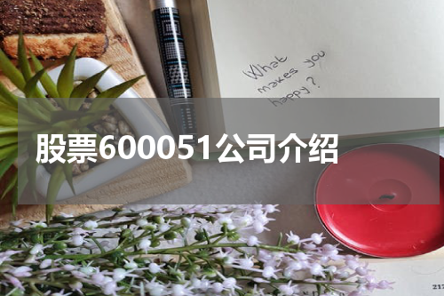 股票600051公司介绍