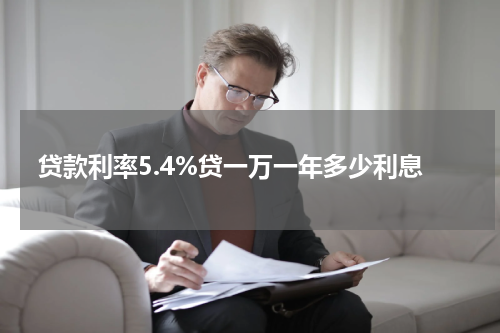 贷款利率5.4%贷一万一年多少利息