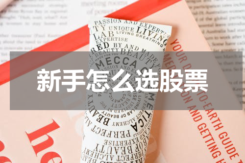 新手怎么选股票