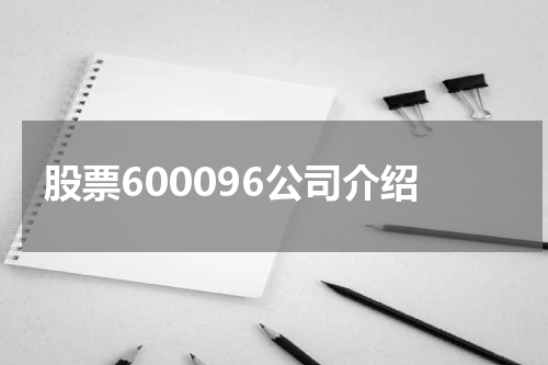 股票600096公司介绍