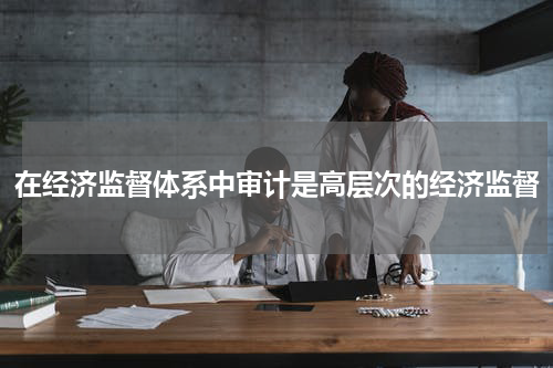 在经济监督体系中审计是高层次的经济监督