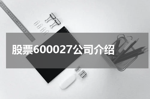 股票600027公司介绍