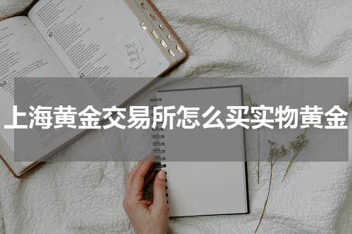 上海黄金交易所怎么买实物黄金