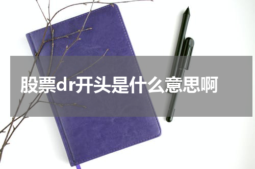 股票dr开头是什么意思啊