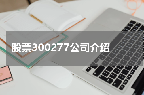 股票300277公司介绍