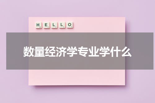 数量经济学专业学什么