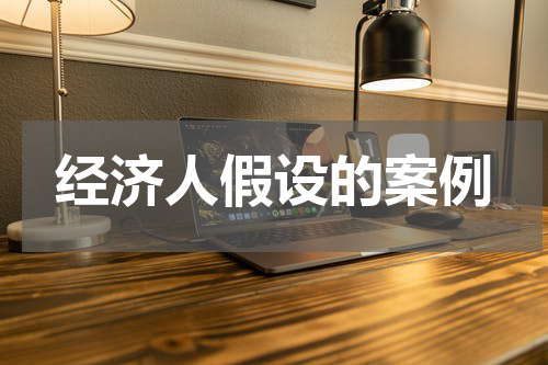 经济人假设的案例