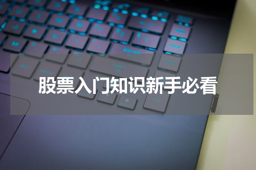 股票入门知识新手必看