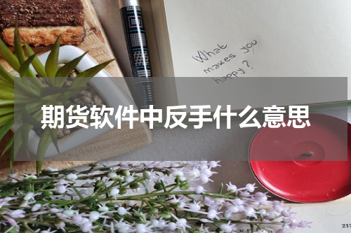 期货软件中反手什么意思