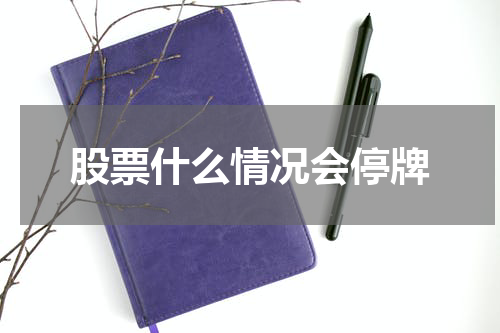 股票什么情况会停牌
