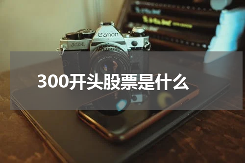 300开头股票是什么