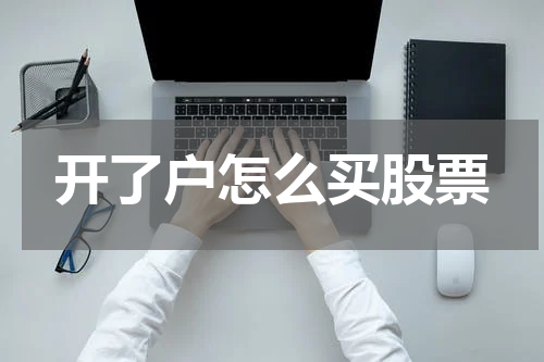 开了户怎么买股票